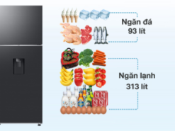 Tủ lạnh Samsung Inverter 406 lít RT42CG6584B1SV - Ngăn đá và ngăn lạnh