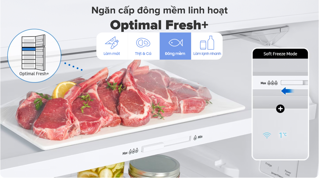 Tủ lạnh Samsung Inverter 406 lít RT42CG6584B1SV - Ngăn đông mềm linh hoạt Optimal Fresh