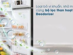 Loại bỏ tốt các loại mùi nấm mốc hay vi khuẩn gây hại với bộ lọc than hoạt tính Deodorizer