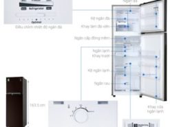 Tủ lạnh Samsung Inverter 256 lít RT25M4032BY/SV