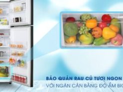 Giờ đây bạn có thể lưu trữ nhiều thực phẩm hơn trong ngăn cân bằng độ ẩm Big Box