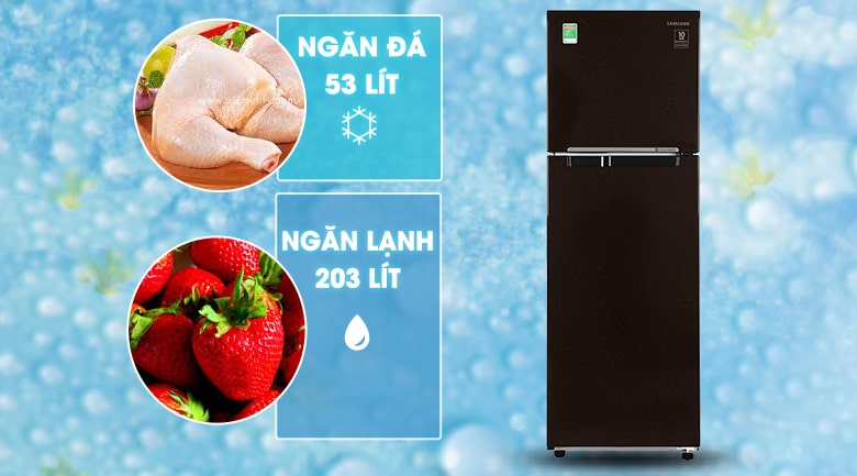 Tủ lạnh Samsung RT25M4032BY/SV với dung tích 256 lít phù hợp với 2 - 3 người sử dụng