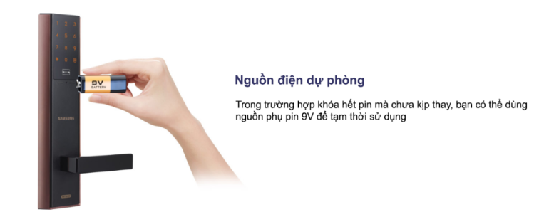 SHP DH 537 MCEN 14 2 1 1