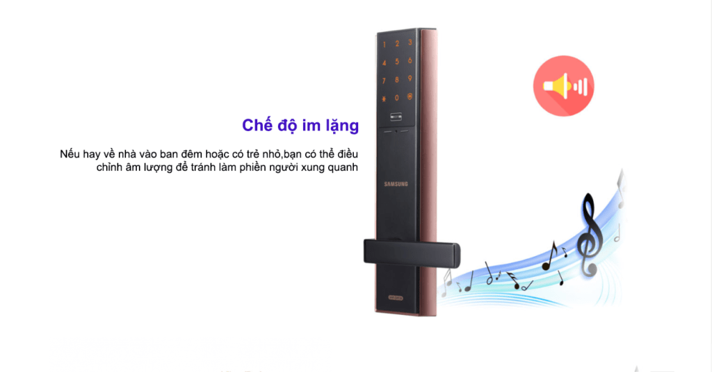 SHP DH 537 MCEN 5 1