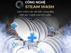 steam wash copy