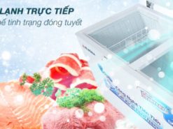 Tủ đông Alaska Inverter 419 lít HB 550CI - Công nghệ làm lạnh