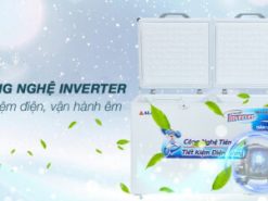 Tủ đông Alaska Inverter 419 lít HB 550CI - Công nghẹ tiệt kiệm điện