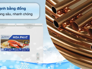 Tủ đông Hòa Phát 245 Lít HPF BD6245 - Dàn lạnh