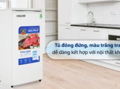 Tủ đông đứng Hòa Phát 147 Lít HPF UAH6147 - Tổng quan thiết kế