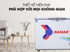 2. Tủ đông Sanaky VH-2899W1 thiết kế hiện đại, dễ di chuyển