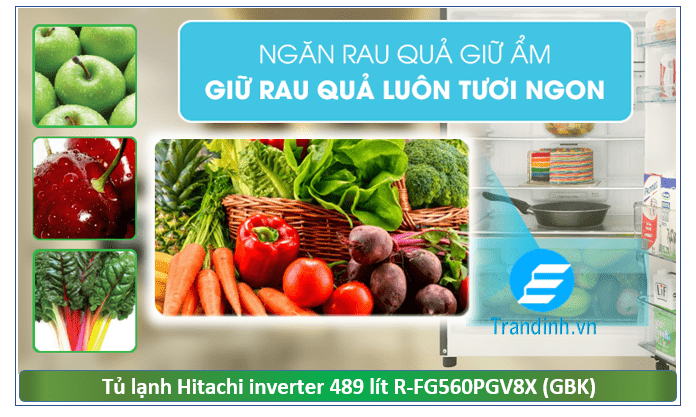 R-FG560PGV8X (GBK) Ngăn rau quả giữ ẩm hiện đại kéo dài thời gian bảo quản