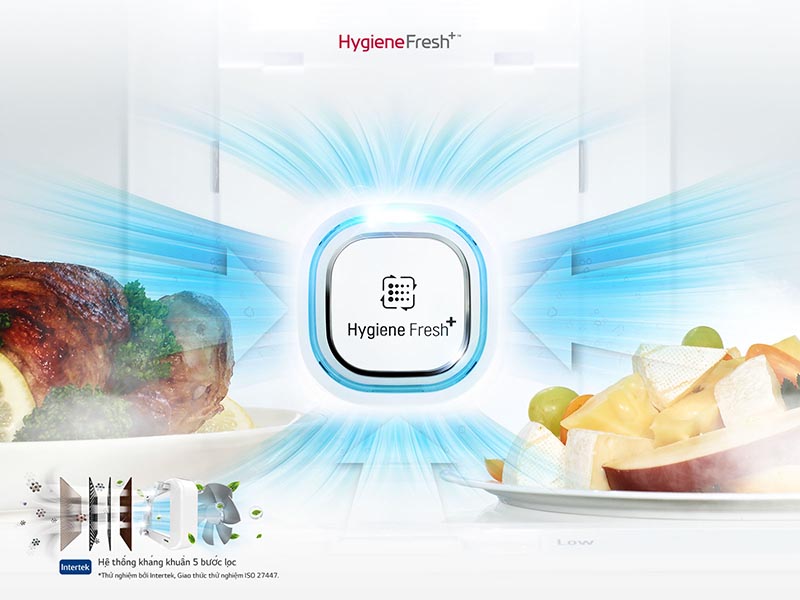 Bộ lọc kháng khuẩn Hygiene Fresh TM Bộ lọc kháng khuẩn Hygiene Fresh TM