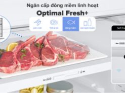 Tủ lạnh Samsung Inverter 305 lít RT31CG5424B1SV - Ngăn đông mềm
