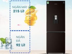 Tủ lạnh Samsung RB30N4170BY/SV dung tích tổng 307 lít phù hợp với 3 - 4 thành viên sử dụng