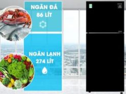 Tủ lạnh Samsung RT35K50822C/SV Sở hữu dung tích tủ lạnh là 360L