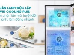Công nghệ Twin Cooling System Plus gồm 2 dàn độc lập làm lạnh nhanh hơn, ngăn mùi tốt hơn