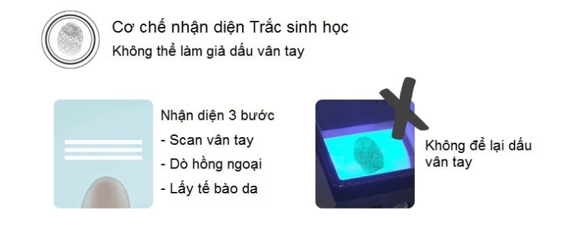 Khoá điện tử Yale YMF 40-APAC 6 KHOÁ ĐIỆN TỬ YALE YMF 40-APAC