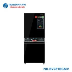 Tủ lạnh Panasonic NR-BV281BGMV | 255L 2 cánh inverter