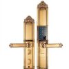 khoá cửa điện tử Demax SL822 GOLD/AC