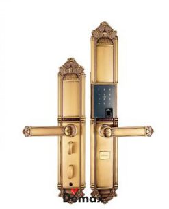 khoá cửa điện tử Demax SL822 GOLD/AC