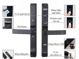 Kiểu dáng hiện đại, độ bền và tính thẩm mỹ cao