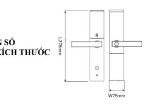 3. Khoá cửa vân tay Gigasun D07B thiết kế sang trọng, độ bền và tính thẩm mỹ cao
