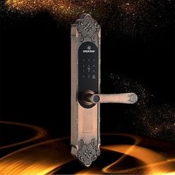 Khóa cửa vân tay cổ điển Gigasun X3R