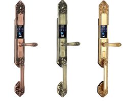 Khoá vân tay cổ điển Kassler KL-979