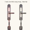 Khóa vân tay tân cổ điển Kitos C500