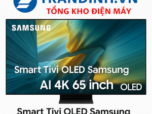 QA65S95F