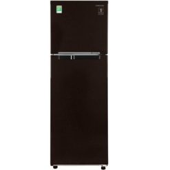 Tủ lạnh Samsung Inverter 256 lít RT25M4032BY/SV
