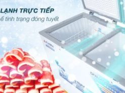 Tủ đông Alaska 282 lít BCD 4568C - Công nghệ làm lạnh