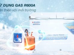 Tủ đông Alaska 282 lít BCD 4568C - Loại gas sử dụng
