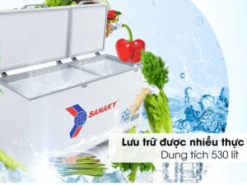 Tủ đông Sanaky VH-6699HY3 phù hợp tích trữ kinh doanh nhỏ
