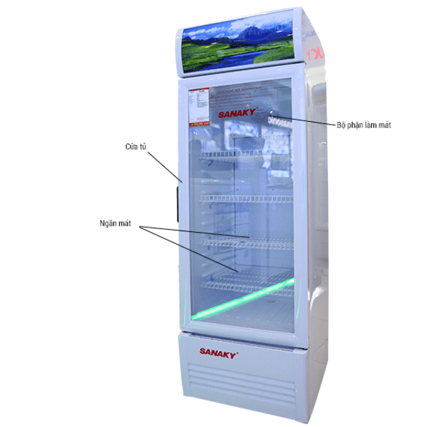 Phác hoạ tổng quát tủ mát Sanaky 290 lít VH358KL