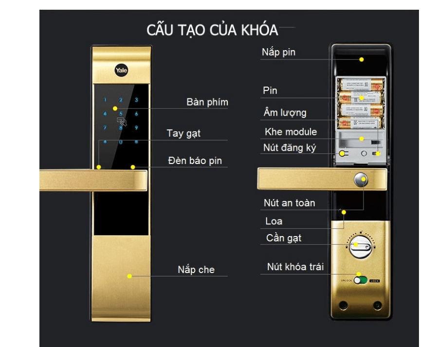 YDM 3109 GOLD 7 1 1