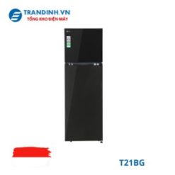 Tủ lạnh LG T21BG | 217 lít 2 cánh Inverter
