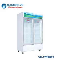 Tủ mát Sanaky VH-1209HP3 | 1100L 2 cánh inverter