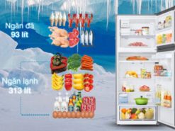 Tủ lạnh Samsung Inverter 406 lít RT42CB6784C3SV - Dung tích ngăn đá 93 lít, ngăn lạnh 313 lít