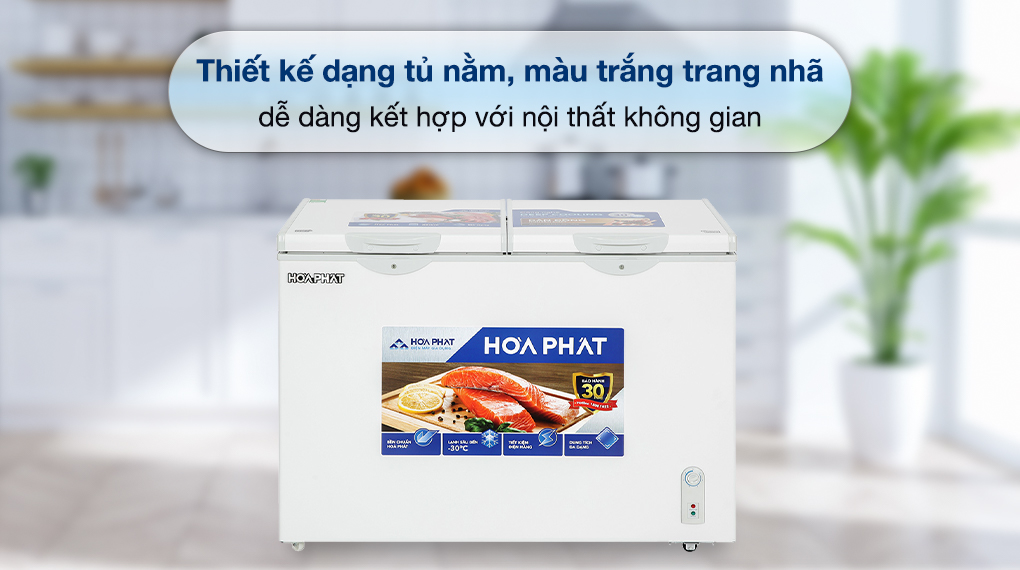 Tủ đông Hòa Phát 245 Lít HPF BD6245 - Thiết kế Tủ đông Hòa Phát 245 Lít HPF BD6245 - Thiết kế