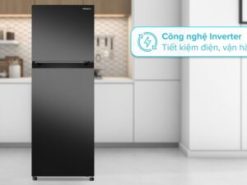 tu lanh hitachi inverter 240 lit hrtn5255mfuvn bv 3 1020x570 1