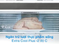 Tủ lạnh Sharp Inverter 360 lít SJ-XP382AE-DS - Ngăn đông mềm