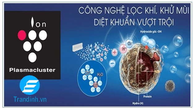Tủ lạnh Sharp Inverter 401 lít SJ-FXP480VG-BK 7 Diệt khuẩn và khử mùi hiệu quả nhờ công nghệ Plasmacluster ion SJ-FXP480VG-BK