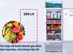 6. Tủ mát Sanaky TM.VH358K3L phù hợp với gia đình kinh doanh nhỏ, hoặc siêu thị