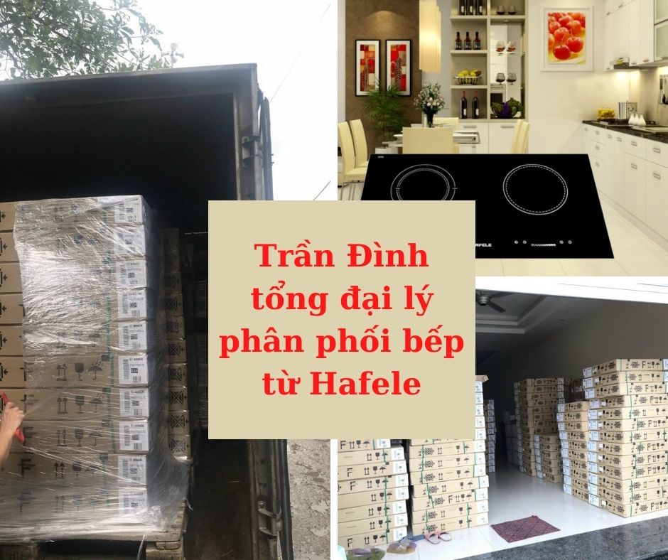 2. Việt Nam tổng đại lý phân phối bếp từ Hafele