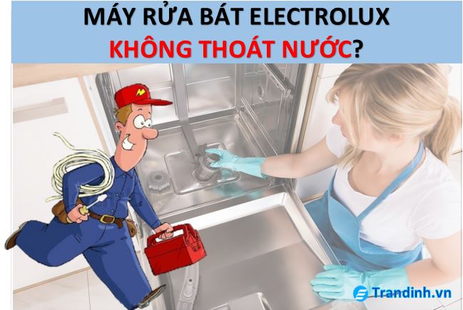 máy rửa bát Electrolux không thoát nước