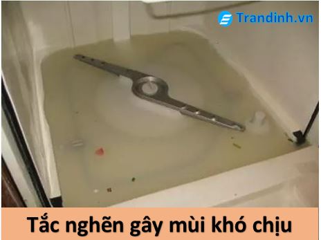 Hậu quả khi máy rửa bát Electrolux không thoát nước